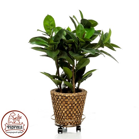 Кованая подставка для цветов 