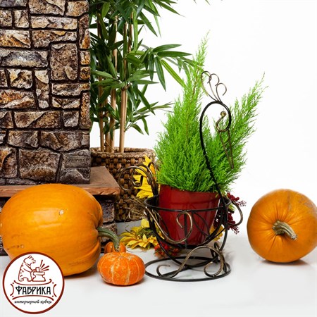 Цветочница птица