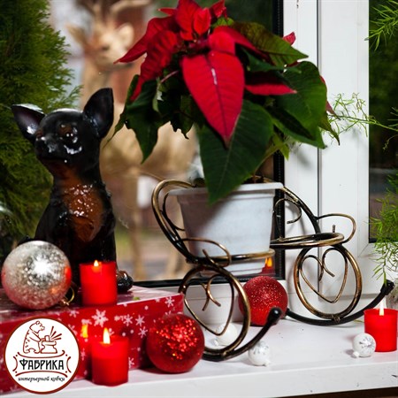 Цветочница на окно