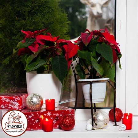 Цветочница на подоконник