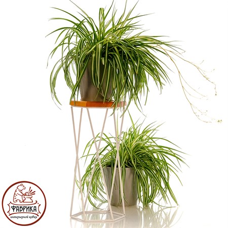 Подставка для цветов 