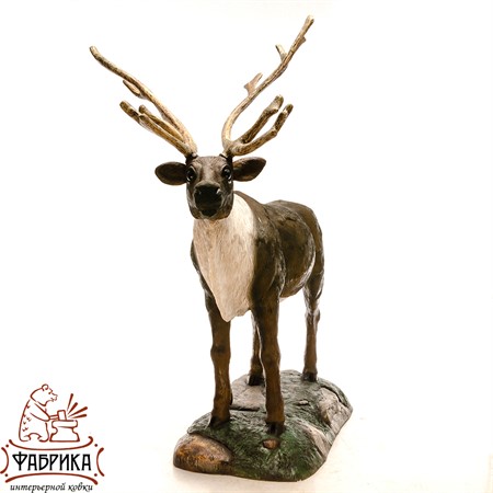 Олень северный US08978