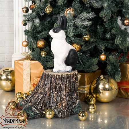 Символ 2023 года