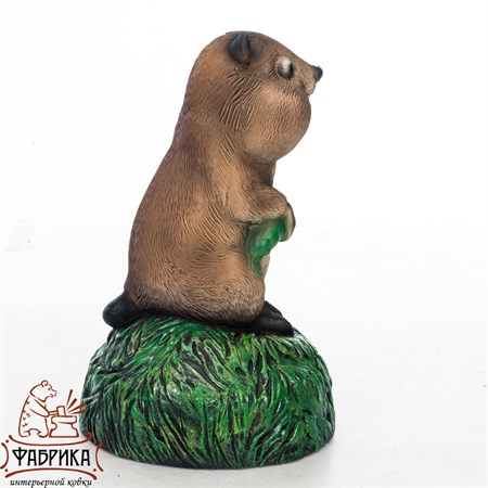 крышка для люка