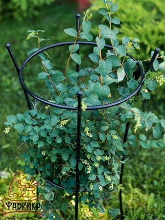 опора для пионов