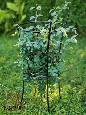 опора для роз