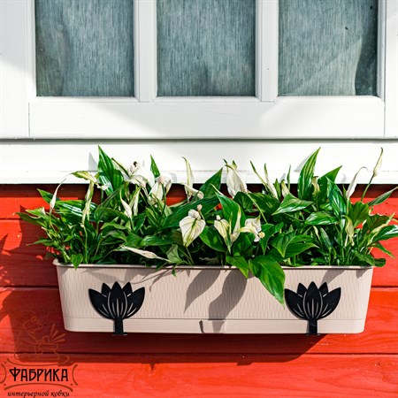 для ящика с цветами