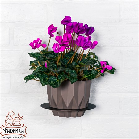 для использования в саду и дома