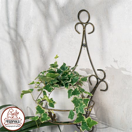 Подставка для цветов 15-021 настенная - фото 32995 Подставка для цветов 15-021 настенная - фото 32995