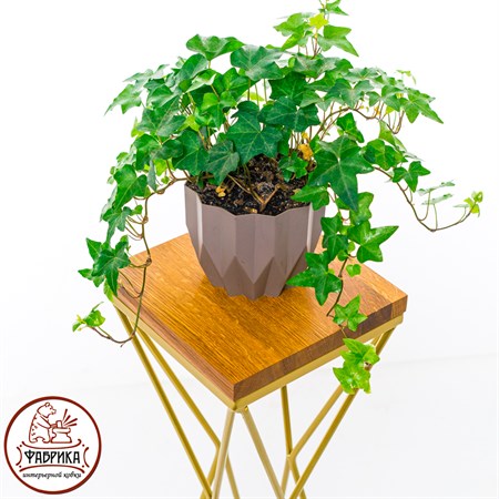 подставка для растений
