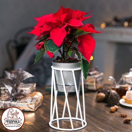 подставка 66-604 цв.белый