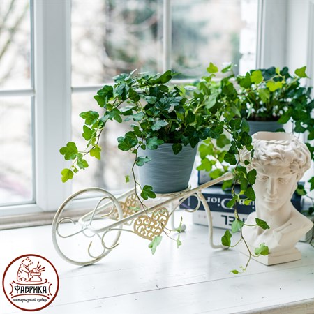 на одно растение