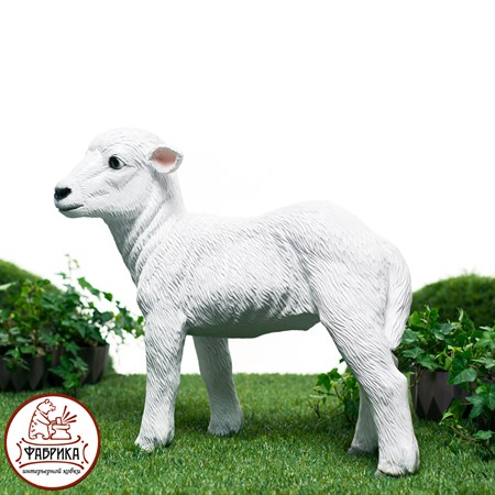 ягнёнок U09345