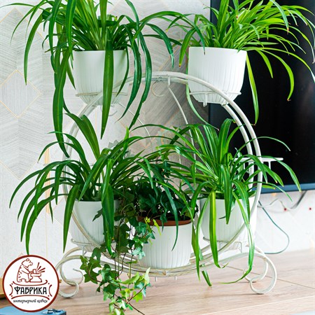 подставка на восемь растений