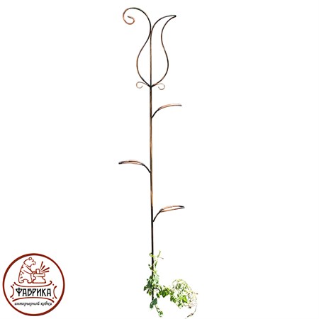 Шпалера для растений  Шпалера для растений
