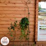 Шпалера для растений 57-009 Шпалера для растений 57-009